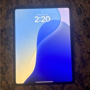 Apple iPad Pro 13 inch(Space Black) 256GB